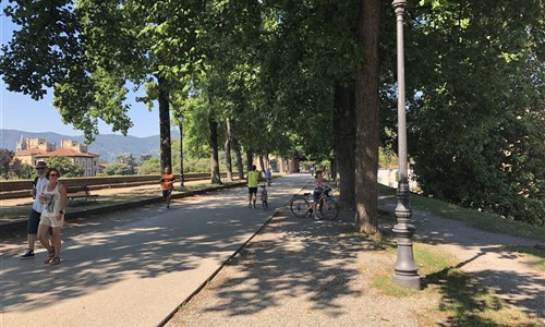 Toskánsko a Cinque Terre letecky - Lucca - promenáda po hradbách