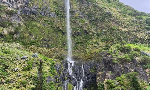 Azorské ostrovy - São Miguel a Flores – pěší turistika v květinovém ráji - Azorské ostrovy, Flores