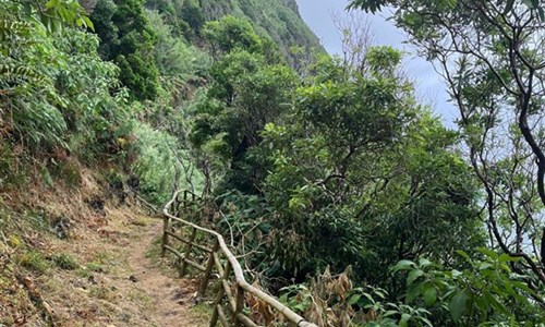 Azorské ostrovy - São Miguel a Flores – pěší turistika v květinovém ráji - Azorské ostrovy, Flores