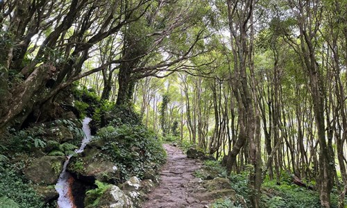 Azorské ostrovy - São Miguel a Flores – pěší turistika v květinovém ráji - Azorské ostrovy, Flores