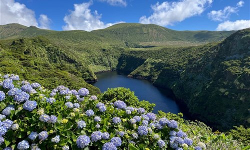 Azorské ostrovy - São Miguel a Flores – pěší turistika v květinovém ráji - Azorské ostrovy, Flores