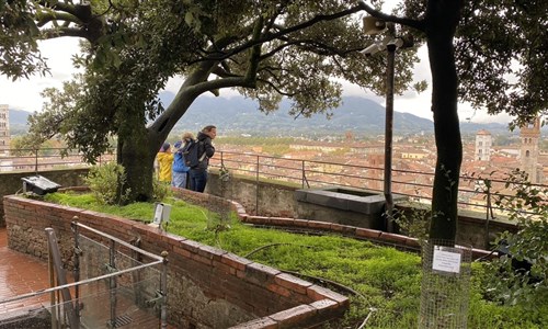 Toskánsko a Cinque Terre letecky - Lucca - pohled z věže Guinigi