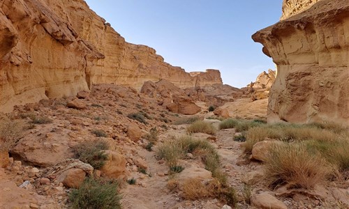 Jižní Tunisko s koupáním na Djerbě a lehkou turistikou