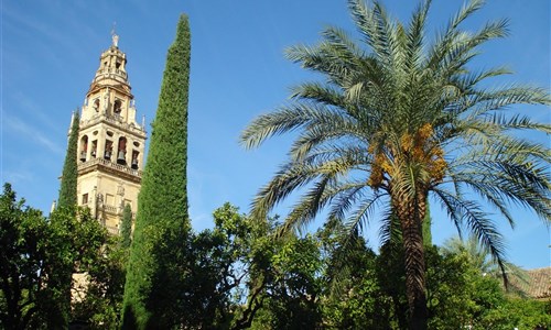 Andalusie netradičně - letecky z Brna - Córdoba, Andalusie